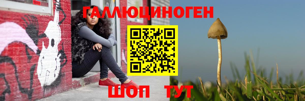 Галлюциногенные грибы GOLDEN TEACHER  Псилоцибиновые грибы Magic Shrooms  Вход с VPN  Арзамас 